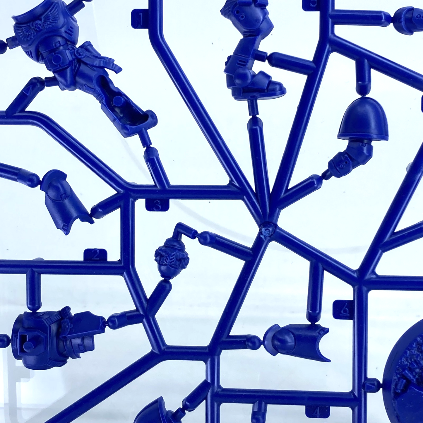 0153f068-a27b-43c2-98d3-f10261ec7d2b