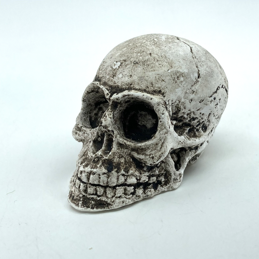 0158af15-8bee-457a-899b-0566a4420088