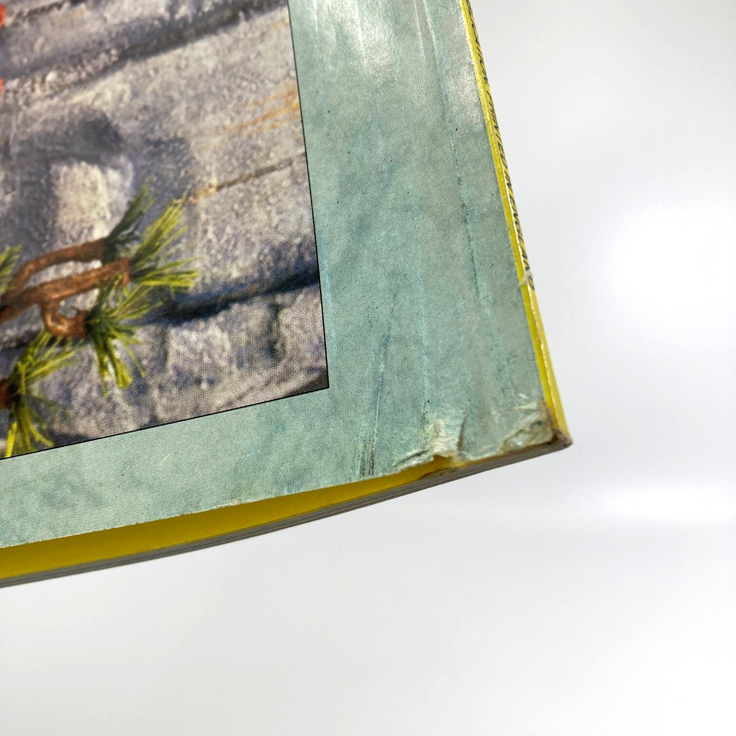 0c1029ec-626b-49ef-8b5a-51f61a1d107a