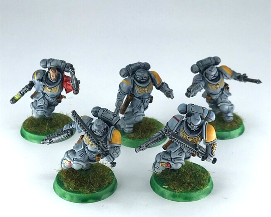 Primaris Assault Intercessors Space Wolves - Warhammer 40K Painted C4847