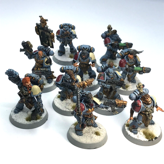 Space Wolves Squad Space Marines - Painted - Warhammer 40K C2911