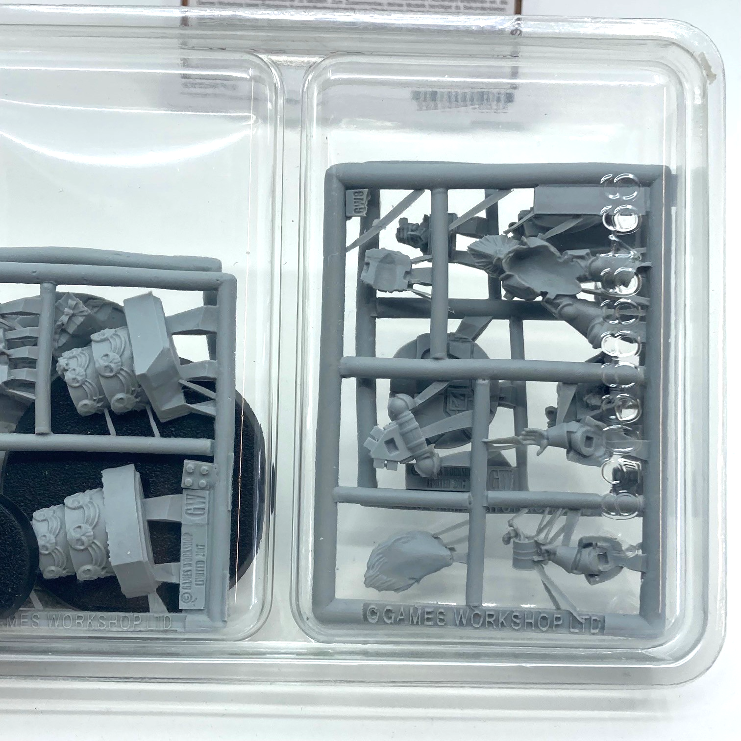 141f5f0b-efc5-4033-aaea-1fc80258df17