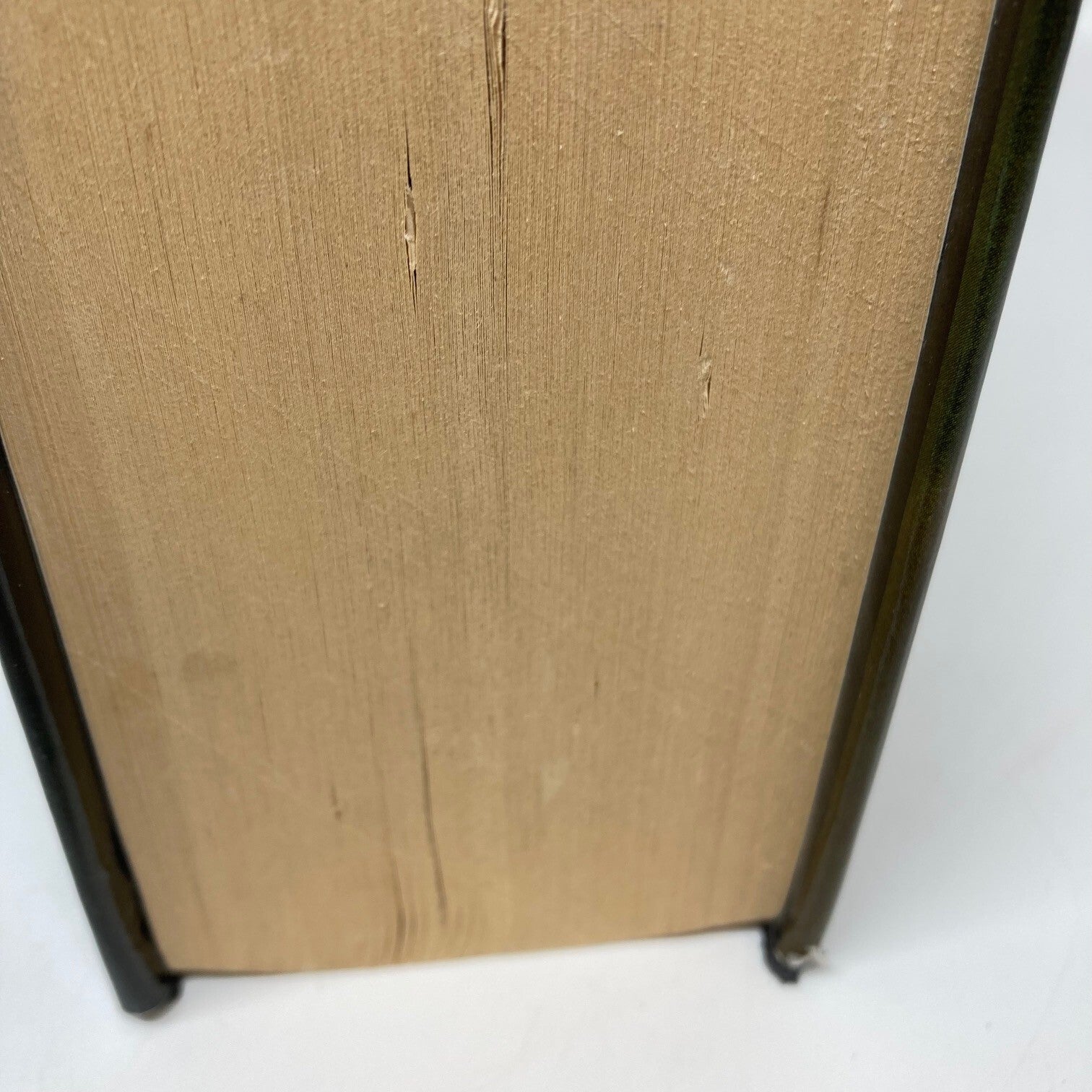 1438f49b-9645-42ed-901f-04706f8c5e38