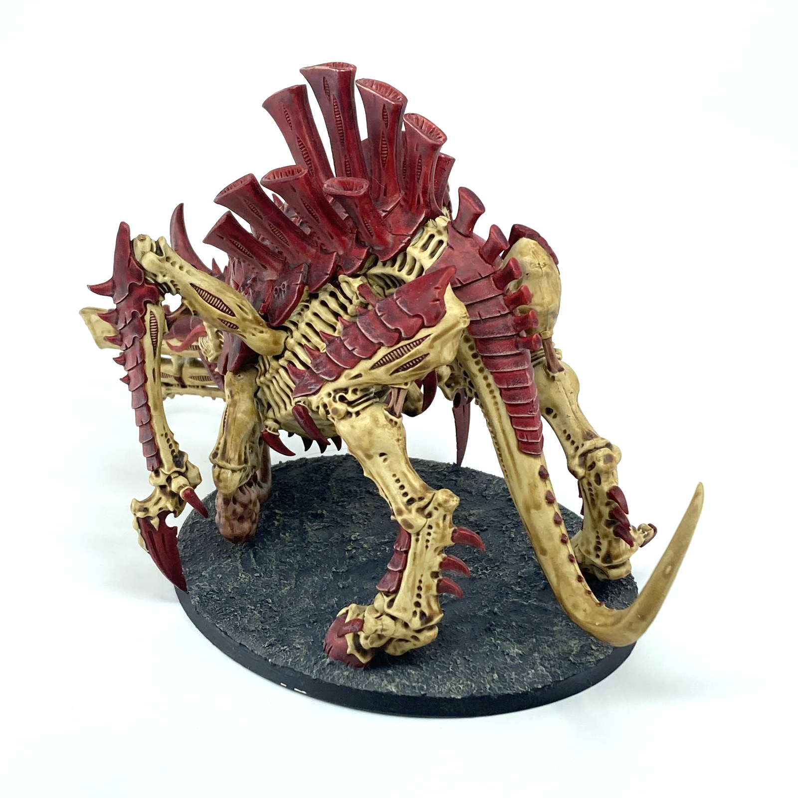 1557cdbe-5c12-4c2b-9f05-58fa56fd7d79