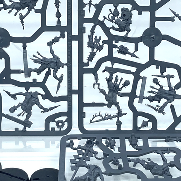 1d15a2bc-c1a4-407e-bb06-b4d4d0d1c380