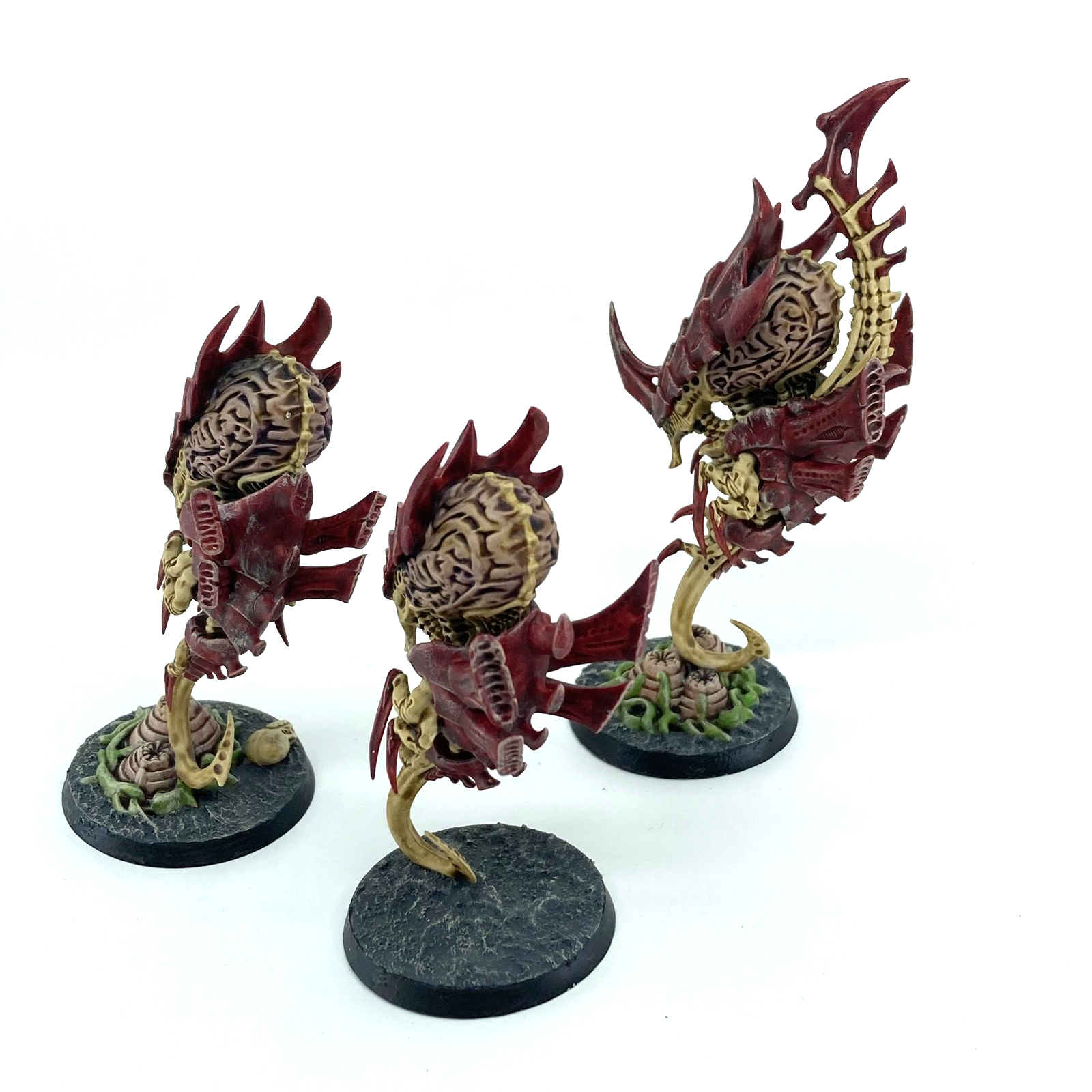 1e56d5e4-9d20-4882-b0f5-3717d30307db