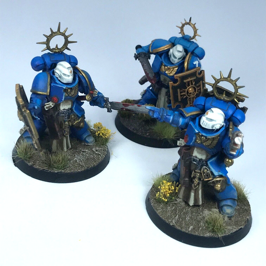Bladeguard Veterans Space Marines - Painted - Warhammer 40K C3281