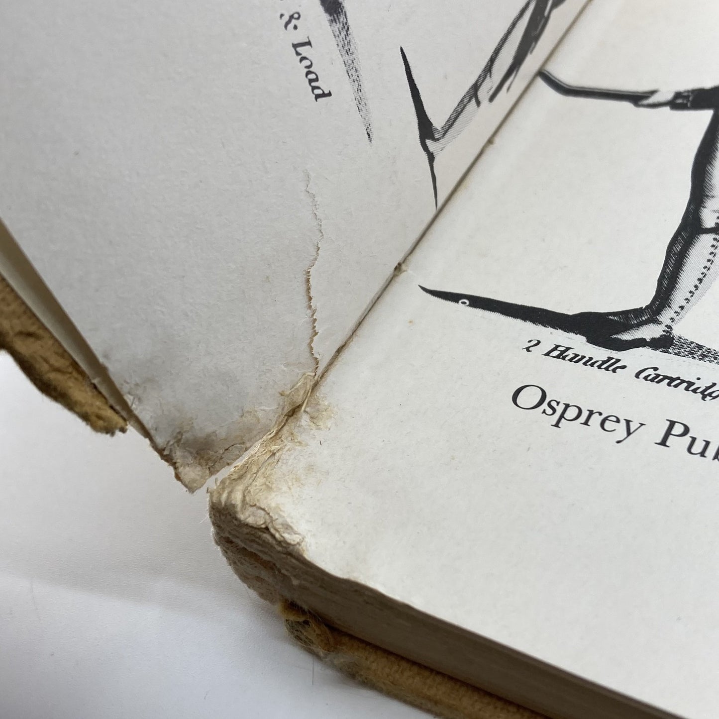 26ee7e43-6dc2-404a-8d52-5e34889f72e5