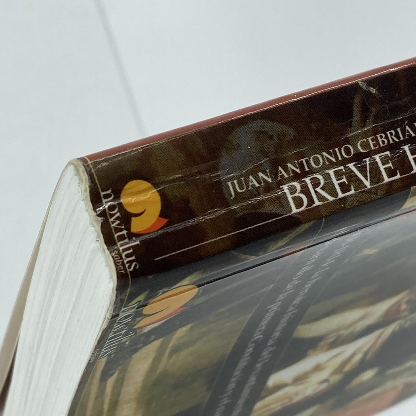 2a84c2cd-b4b6-4f13-a417-1d65f0589c5a