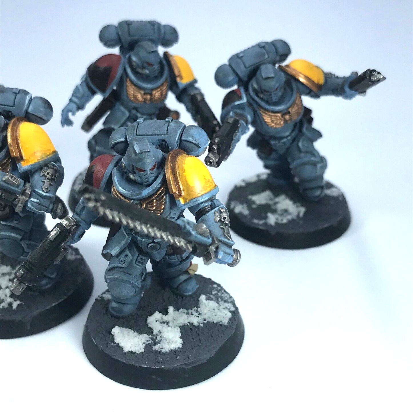 Primaris Assault Intercessors Space Wolves Space Marines - Warhammer 40K C3316
