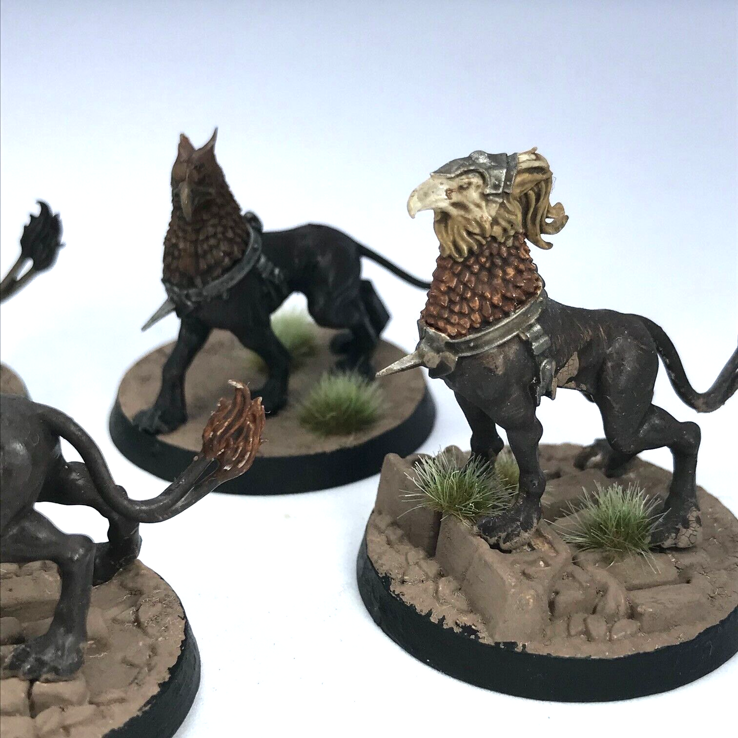 Stormcast Eternals Gryph-hounds - Painted - Warhammer Age of Sigmar C3396