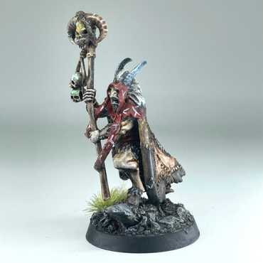 Bray Shaman - Beastmen - The Old World Warhammer Fantasy Painted X15219