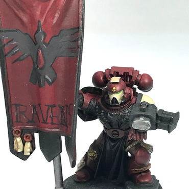 Space Marine Army Command Standard Bearer - Painted - Warhammer 40K C751