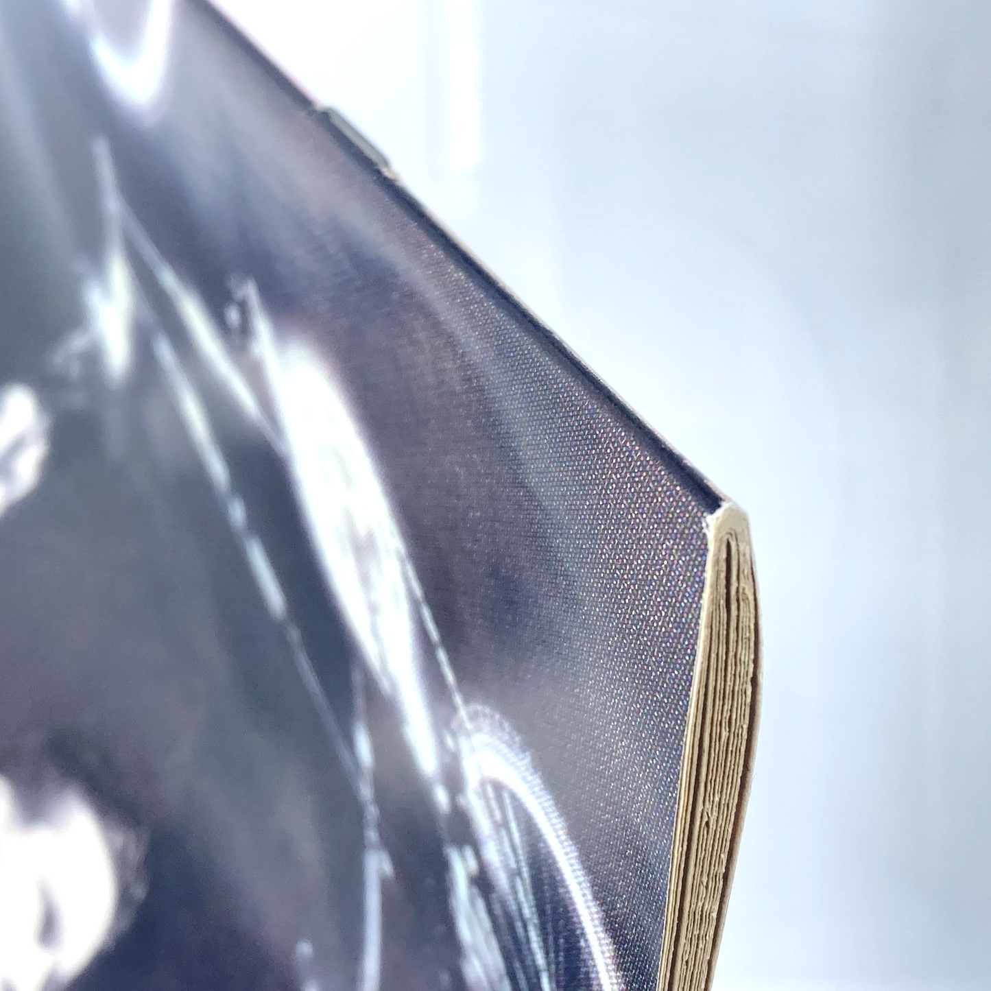 444a6013-9df2-44ee-958c-f72a90e1f24f