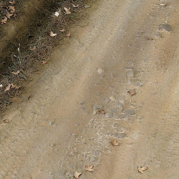 458d4343-fa64-4504-9dc2-8b295676bee3