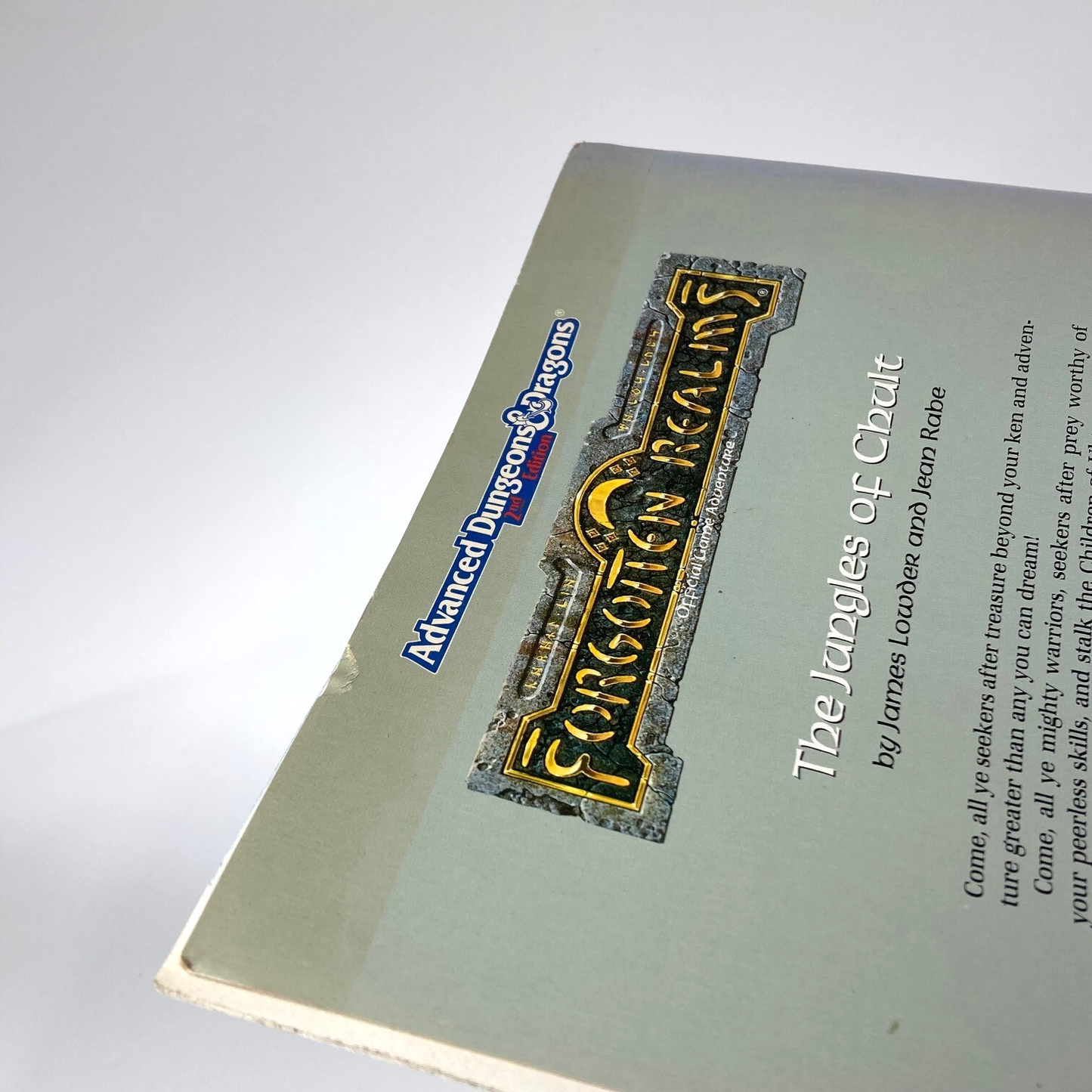 The Jungles Of Chult - The Forgotten Realms - AD&D Dungeons and Dragons M1237