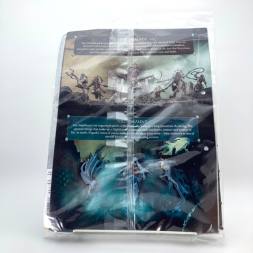 Stormbringer Issue 45 - Goblin Fanatics - Warhammer Age of Sigmar GW M1925