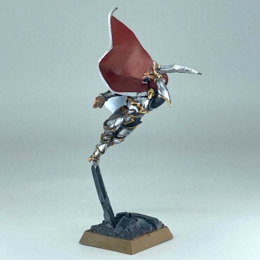 Assassin - Dark Elves - Painted - Warhammer Fantasy Games Workshop X16632