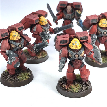 Blood Angels Assault Squad Space Marines - Painted - Warhammer 40K C3738
