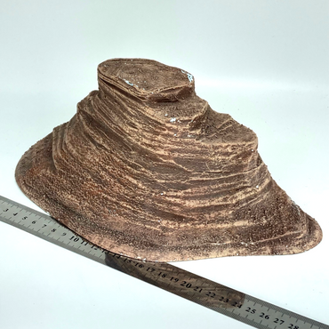 4f978ac7-80e6-4378-abf1-cbe0b7129816