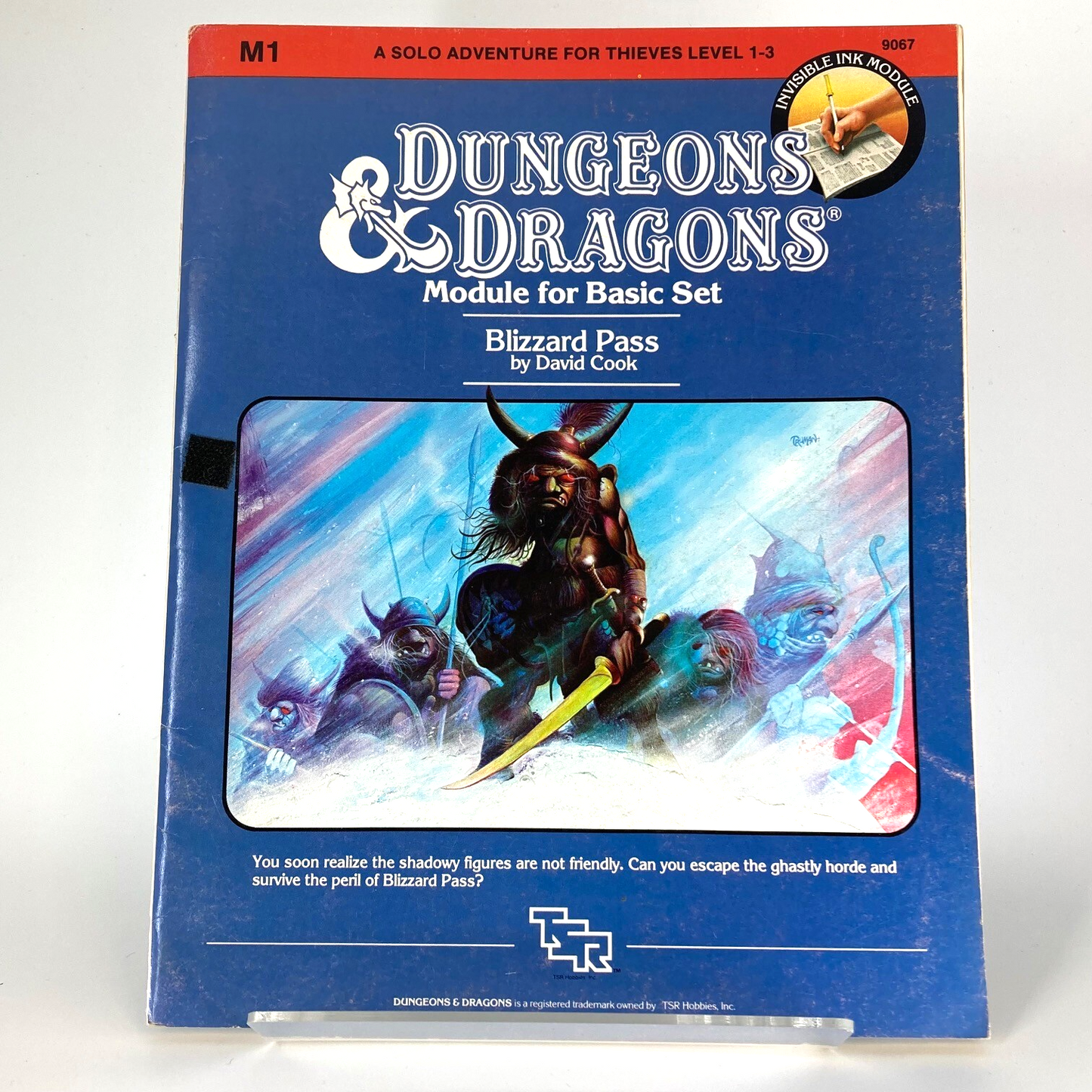 Blizzard Pass Basic Set Module The Forgotten Realms - Dungeons and Dragons M1230