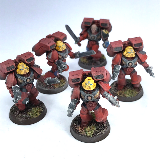 Blood Angels Assault Squad Space Marines - Painted - Warhammer 40K C3738