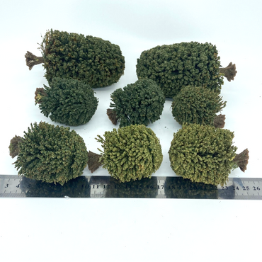 57dc7aba-cdfb-4830-a864-88b325af15a3