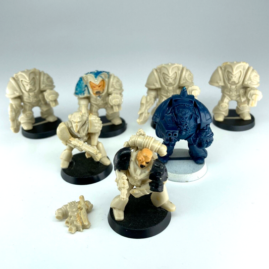 Space Marines / Terminator Squad Space Crusade Board Game GW Warhammer 40K C1399