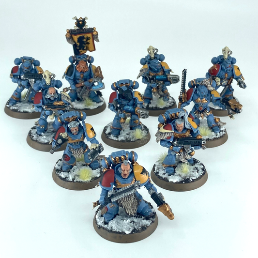 Blood Claws Squad - Space Wolves Space Marines - Painted Warhammer 40K GW C6250