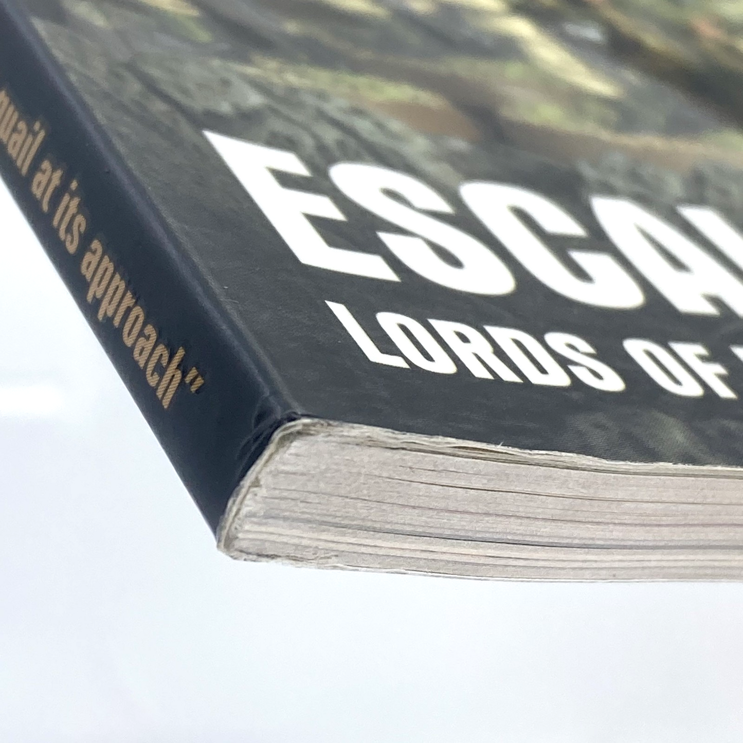 5c0ef593-864d-4458-a249-99b94da2be35