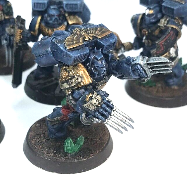 Space Marine Vanguard Veteran Squad - Painted - Warhammer 40K C4051