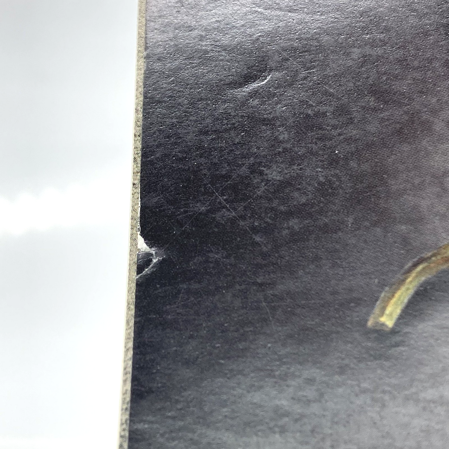 5feda179-0d25-4705-a419-795acd8e479c