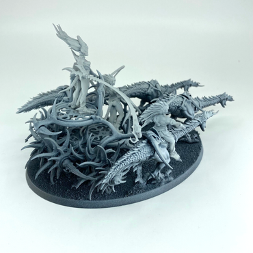 Storm Carrier / Blade Carrier Hedonites of Slaneesh Warhammer Age of Sigmar (2)