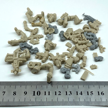 6d3082d9-cb83-4d69-81c0-025b14e47065