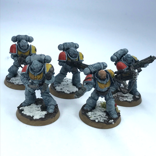 Primaris Intercessors Space Wolves Space Marines - Painted - Warhammer 40K C2368