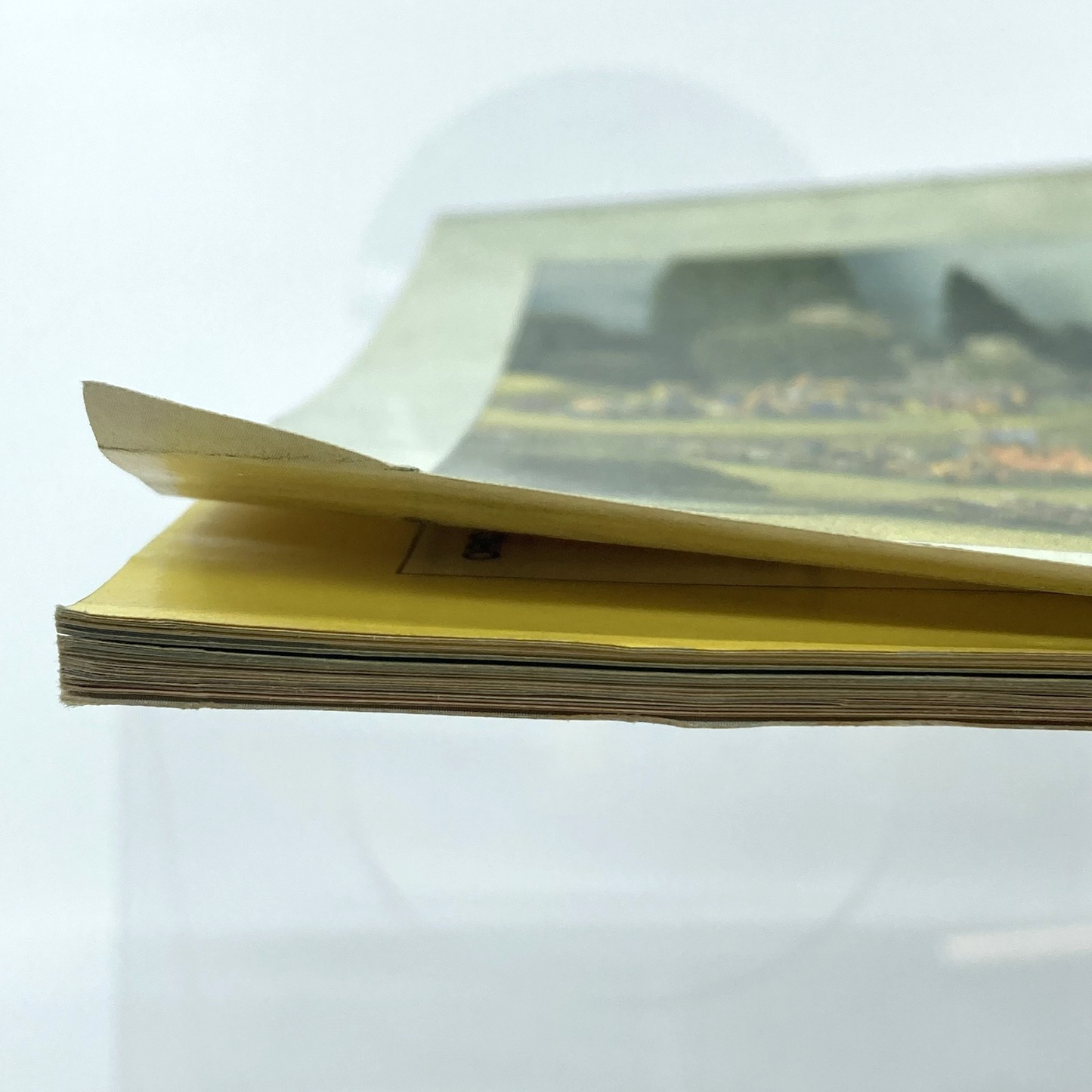 70b6a499-dcd5-437f-ae19-4690b9db959e