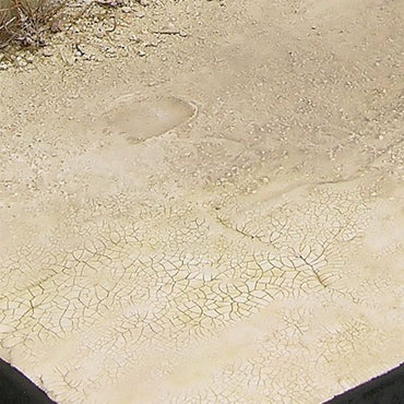 71d6155b-4f83-4cc2-93d1-16f1fa53c461