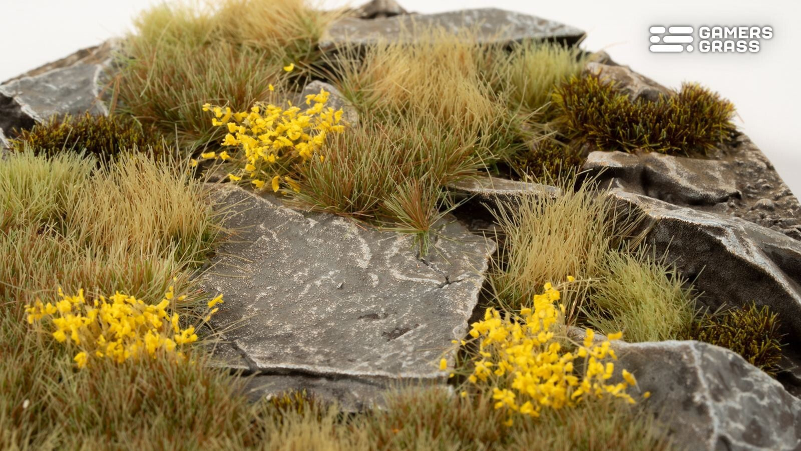 789716f0-e17a-45e8-850b-944538be19c1