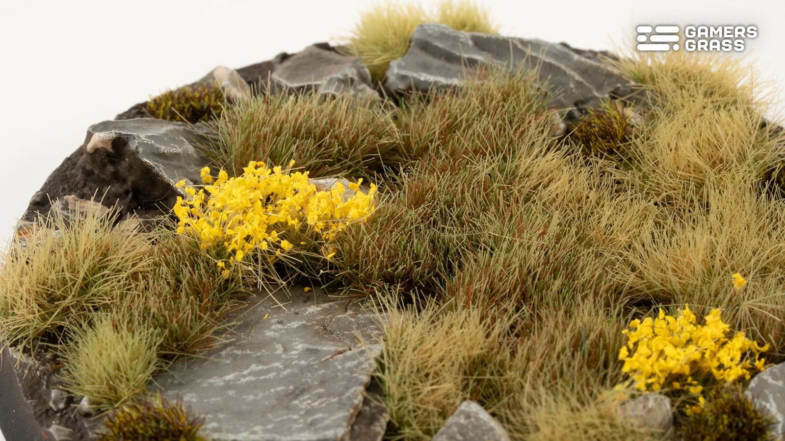 821622b7-c785-4d89-8961-7071473ac4e5