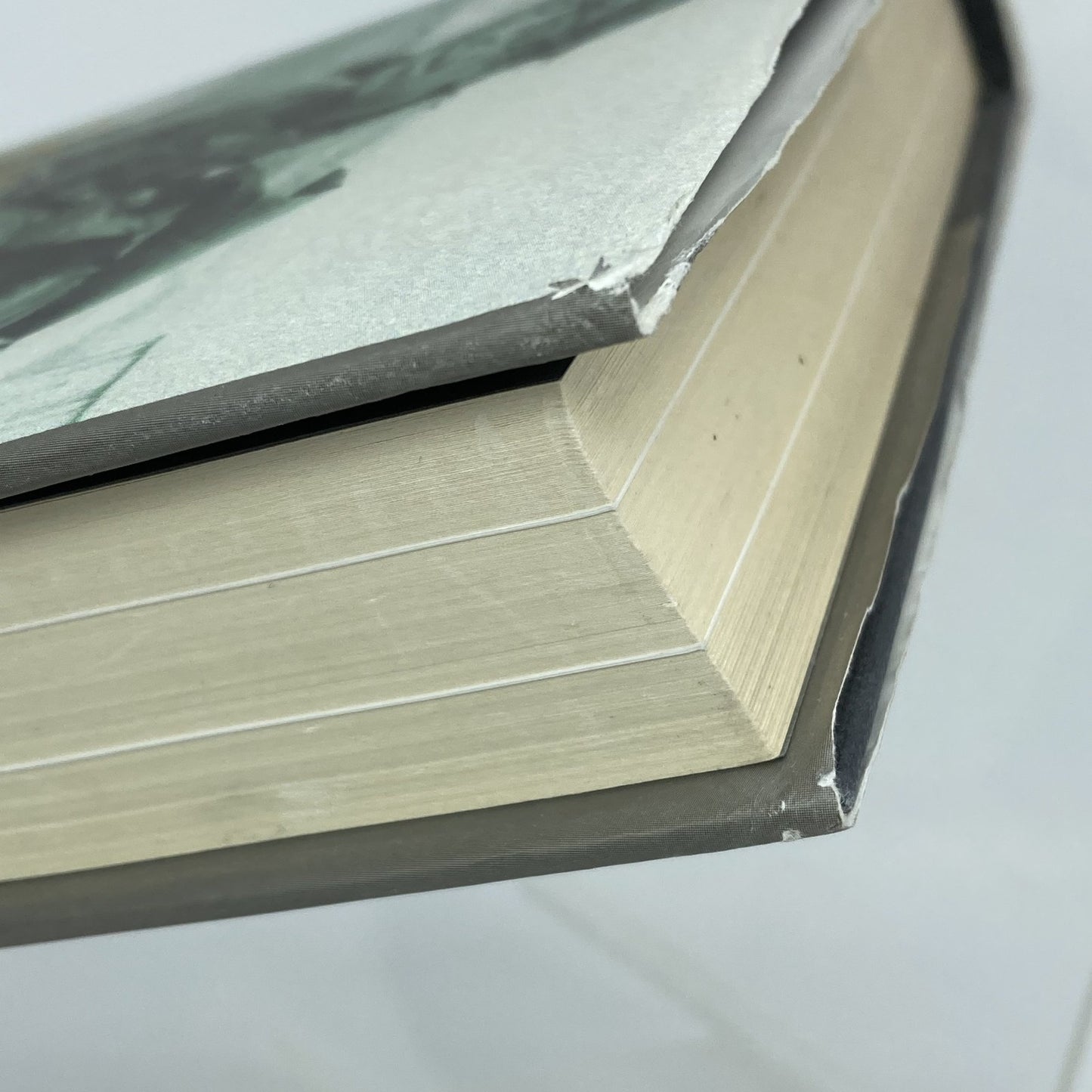 8411d498-cba7-42d1-8d3d-5599a43a95ac