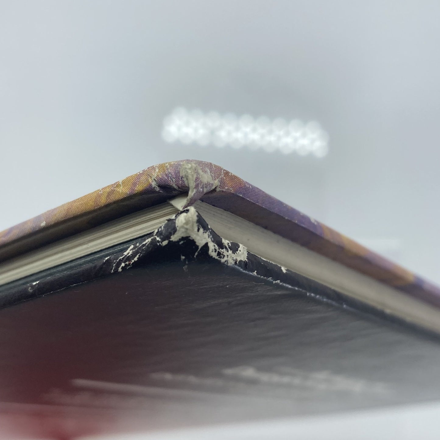 8917e660-cdcd-4729-b1ff-f29ae87b89d3