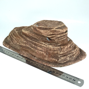 8dc6272b-935a-4e03-b8fe-3799f19b1b09