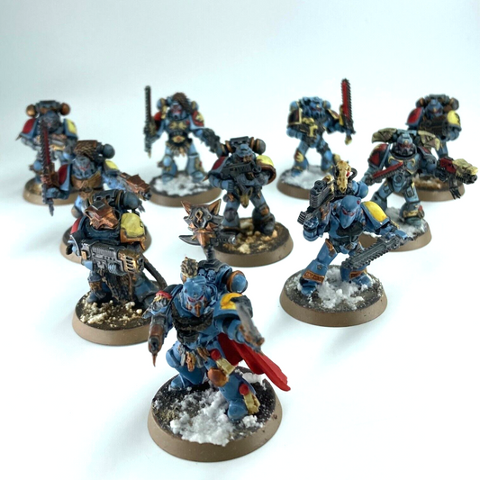 Grey Hunters Space Wolves - Warhammer 40K Games Workshop Painted C2849