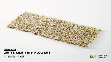 9065baa1-0ce7-4546-8f0a-3fd13decc091