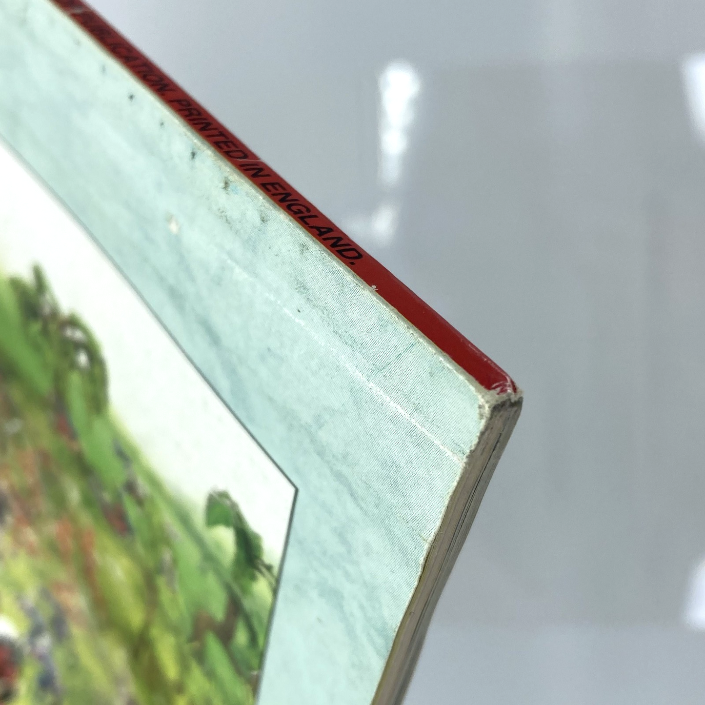 91716a0c-d0d4-42c7-b925-8584b122be8d