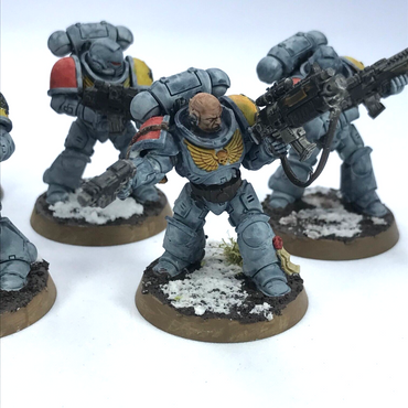 Primaris Intercessors Space Wolves Space Marines - Painted - Warhammer 40K C2368