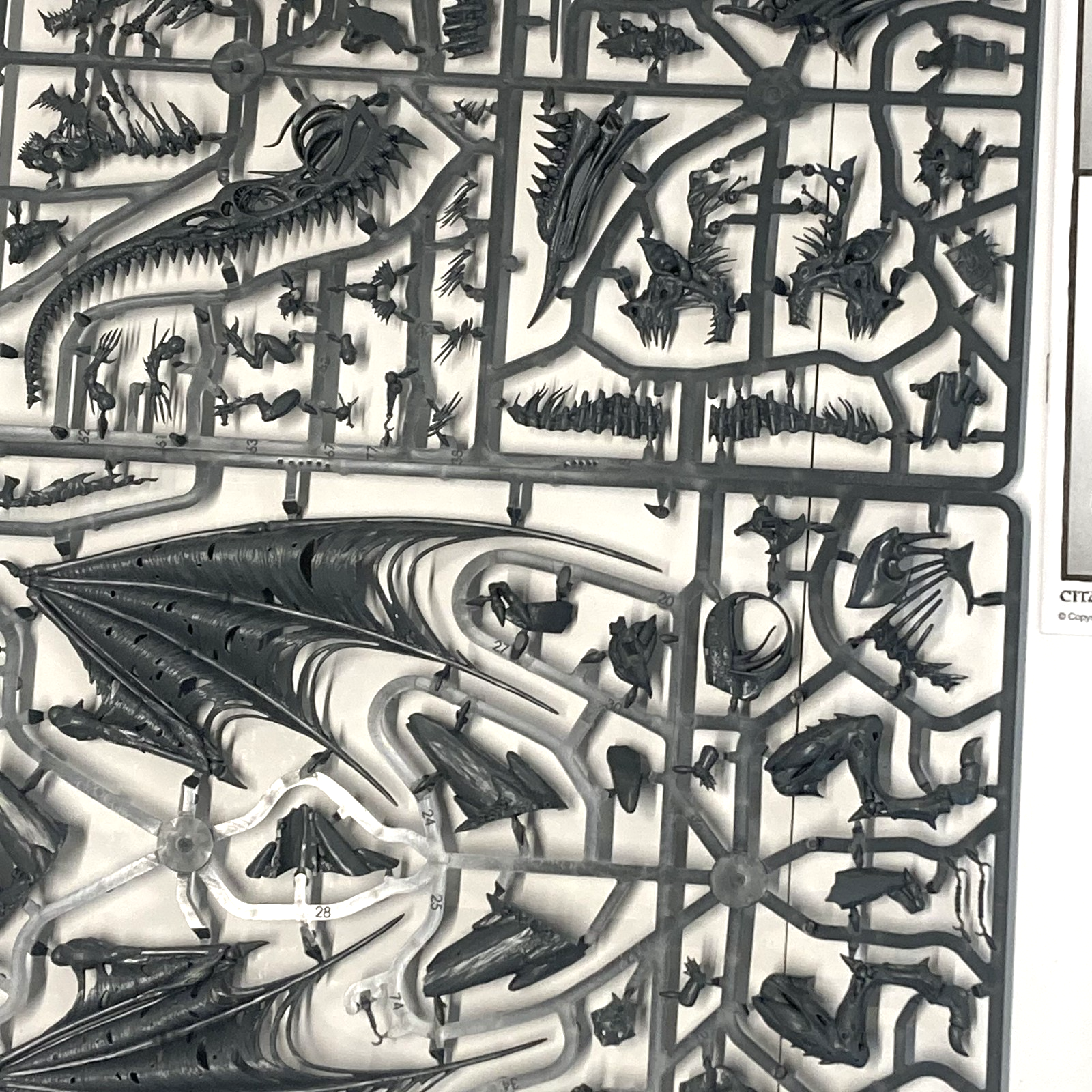 9671bccd-ea9f-4b78-99a5-cc8c12dfde97