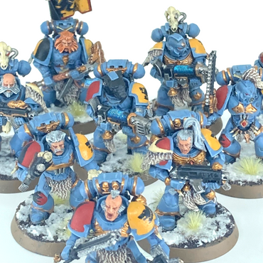 Blood Claws Squad - Space Wolves Space Marines - Painted Warhammer 40K GW C6250