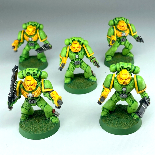 Assault Marine Squad - Space Marine - Painted - Warhammer 40K C5172