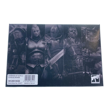 Plague Drones - Warhammer Age of Sigmar - Games Workshop Online Only Range - Brand New